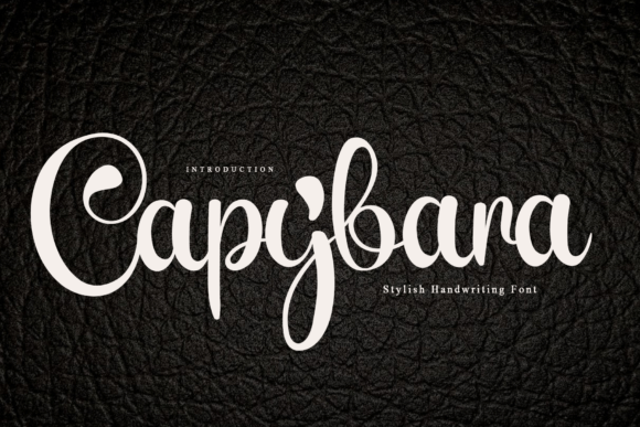 Capybara Font: Elegant Script for Makers