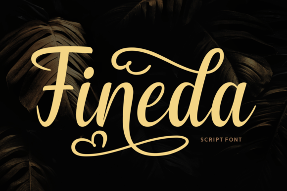 Fineda Typeface Review: Elegant Script for Branding
