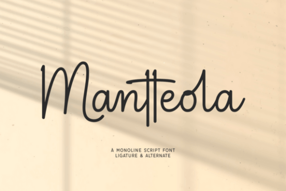 Mantteola: A Designer’s Honest Review for Real Projects