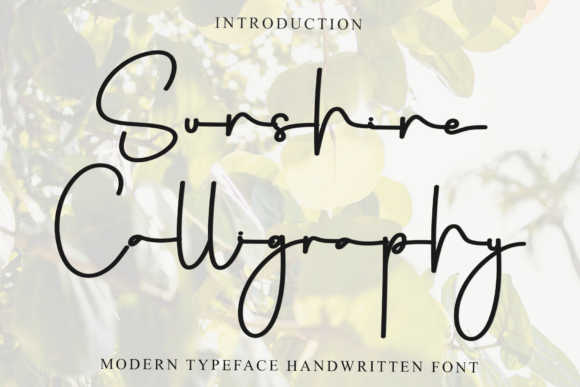 Sunshine Calligraphy: A Warm Typeface for Branding